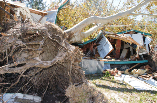 Hurricane Damage Louisiana Disaster photo