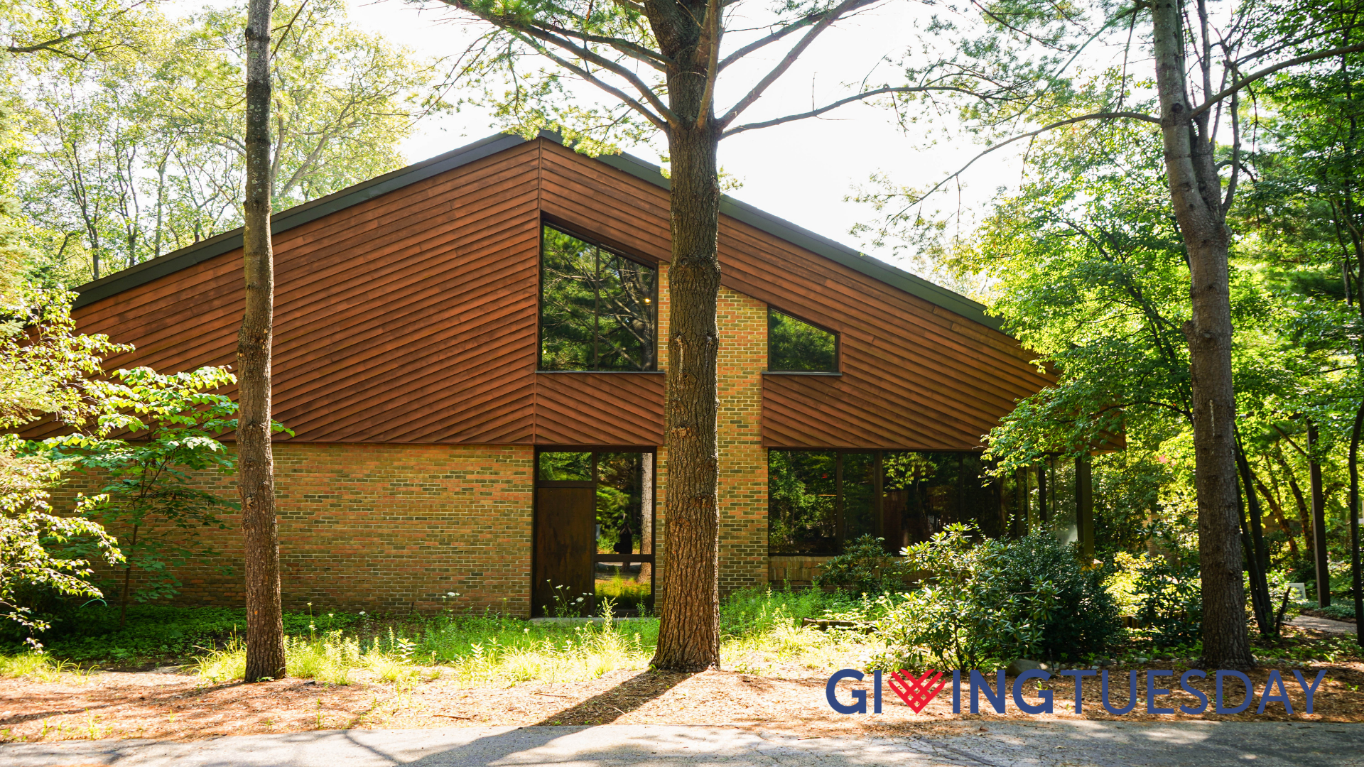 GT2025-6013 Prince of Peace