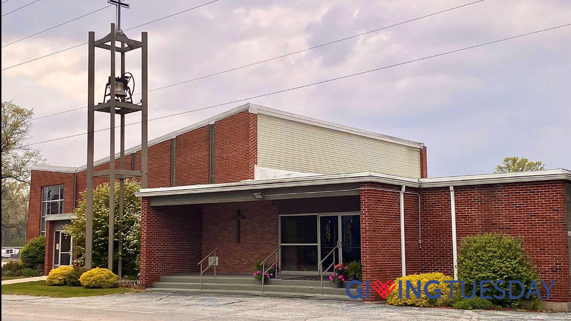 GT2025-2994 St Bernard