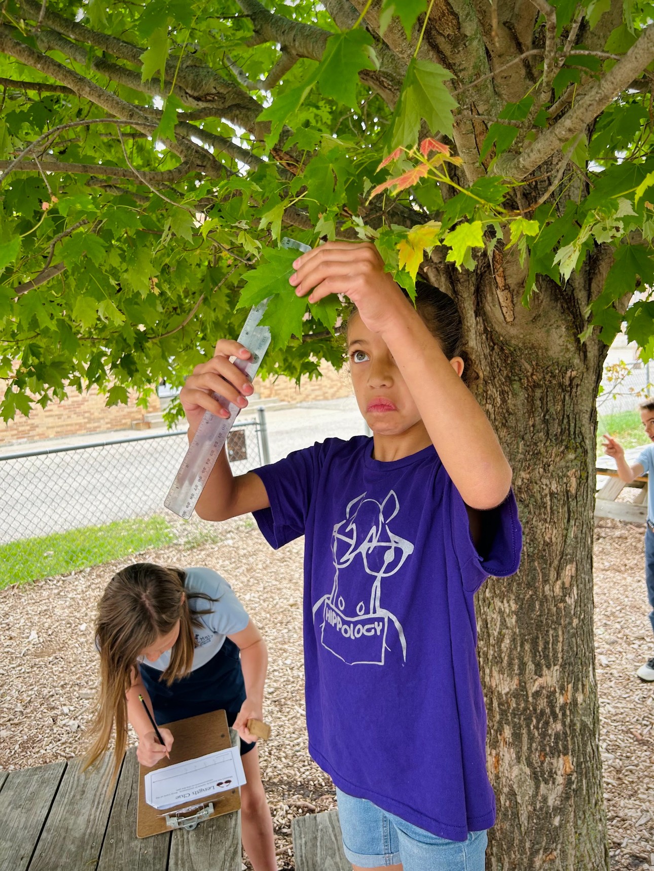GT2025-22815-S St Mary Catholic School